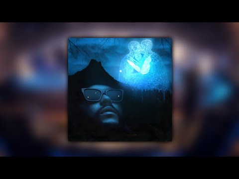 Only You vs. Moth To Flame (Martin Garrix TML Mashup) [Edit]