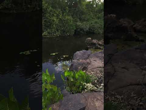 Pedra Furada em Piracuruca Piauí