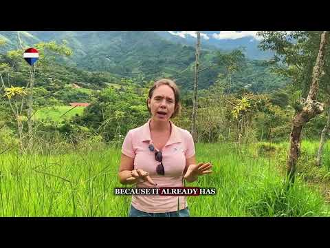 img-video