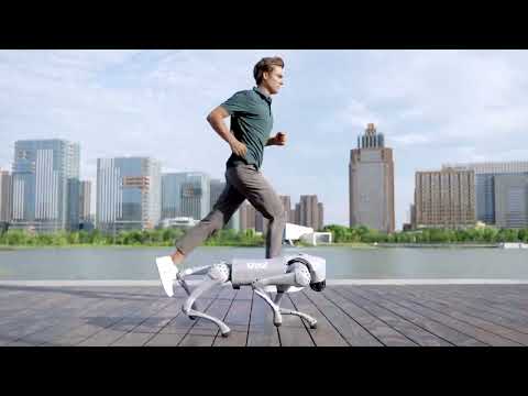 Introducing Unitree Go2 - Quadruped Robot of Embodied AI from $1600