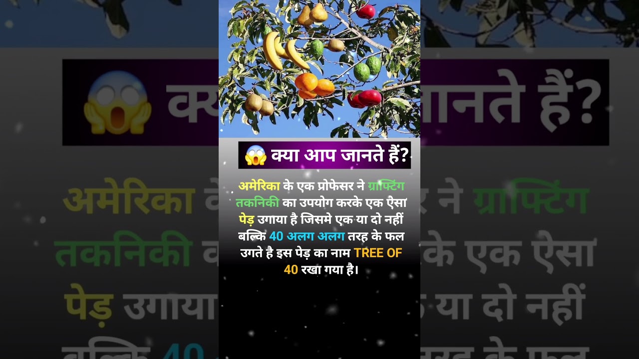 😱एक ही पेड़ पर उगते हैं 40 तरह के फल!#trandingvideo #facts #shorts