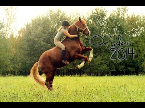 I swear, i lived! | Our great Year 2014