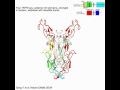 Neurotrophin