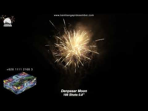 Kembang Api Desember TOP1661 Denpasar Moon 166 Shots 0.8