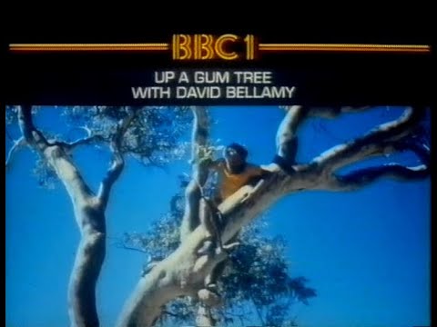 Wednesday 14th April 1982 BBC1 - Up A Gum Tree - David Bellamy - Sportsnight - Harry Carpenter