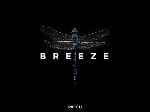Paccu - Breeze