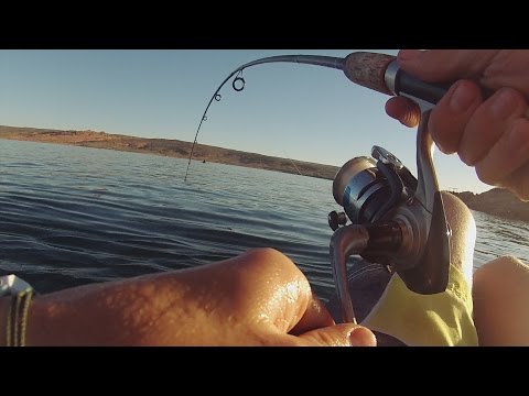 GoPro: Josh DeMill - Best Catch 050115 - Fish