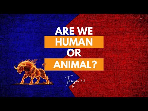 Tanya chapter 9, part 2: The internal human v. internal animal