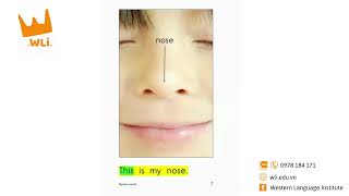 MY FACE | HỌC TIẾNG ANH CHO BÉ | LEVEL A | WLi