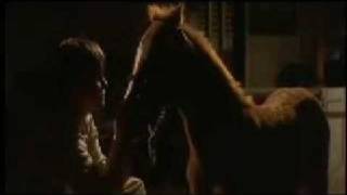 Until June Sleepless Horse Music Video