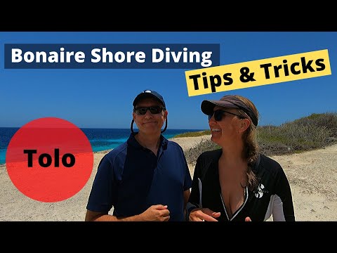 Bonaire Shore Diving Tips & Tricks - Tolo