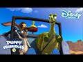 Puppy Vriendjes | Liedje: Woestijn Pups ??  | Disney Channel NL