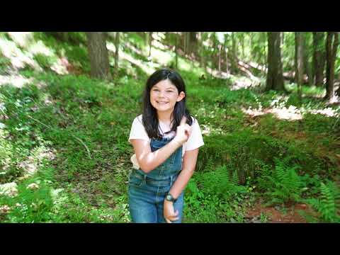 I Had A Little Turtle