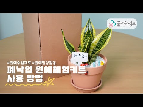 낙엽 원예체험키트