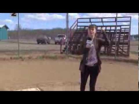 Baseball Clean Up in Chetwynd