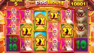 SOOO MANY PINK DOGS On DOG HOUSE MEGAWAYS.. Video Video