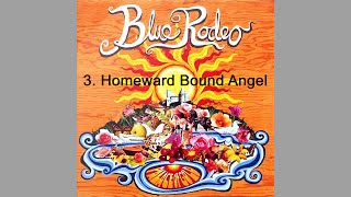 Blue Rodeo 🇨🇦 ~ Homeward Bound Angel 2002