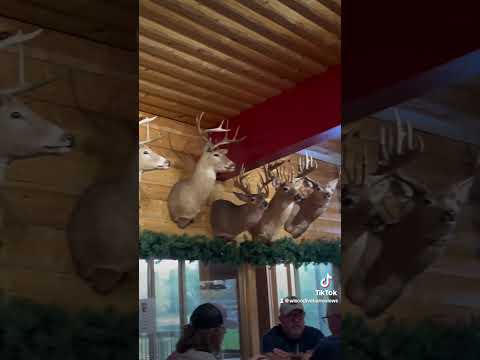 Big Bear Lodge Video Review