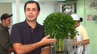 preview picture of video '( GRAVATÁ PE.)   Os benefícios medicinais da salsa - TVWEB GRAVATÁ -'