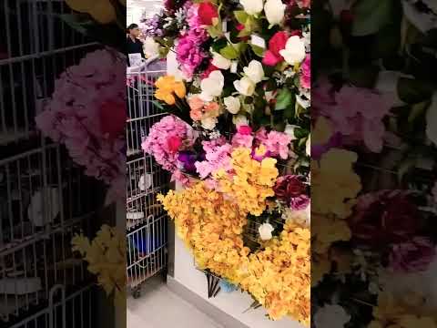 i love rose flowers 🌹#love #song