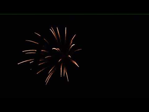 b611 - 6" PALM TREE SHELLS