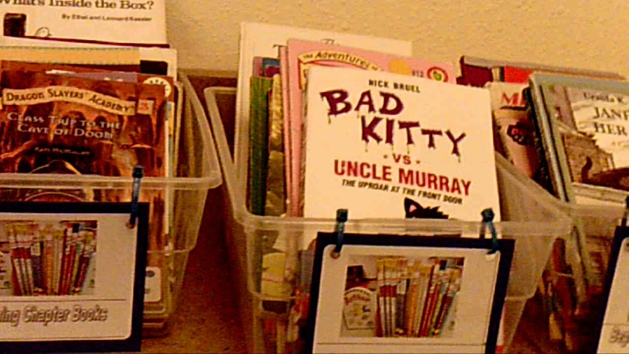 Mr. Albert's Classroom Library