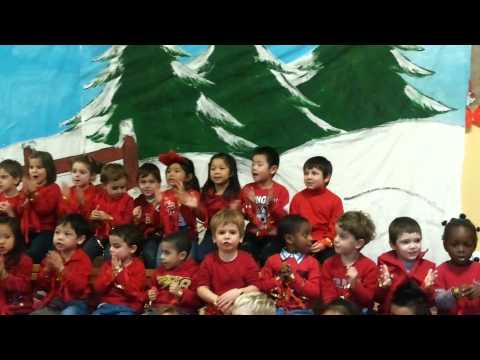 Lo stelliere (Zecchino d'oro)