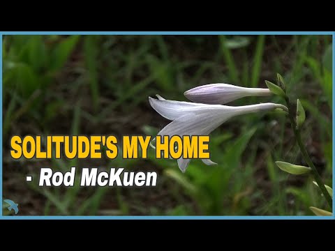 Rod McKuen - Solitude's My Home (1988)