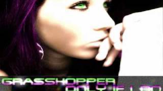 Grasshopper - I Am Radio