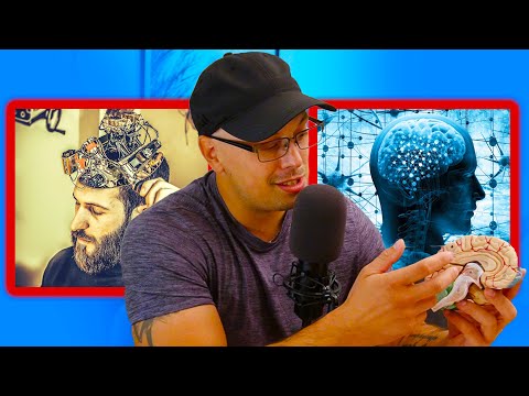 Tvoj mozak može učiti 5x BRŽE - Evo kako