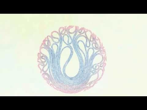 sea of bees- The Woods