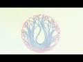 sea of bees- The Woods 