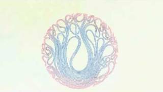 sea of bees- The Woods