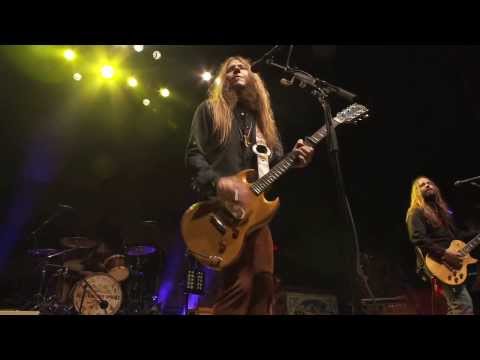 Shake Your Magnolia - Blackberry Smoke