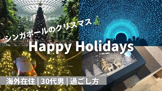 ＜シンガポールのクリスマス＋プレゼント紹介＞vlog | Garden By the Bay (ガーデンバイザベイ) / Walk of Lights - Christmas in Singapore