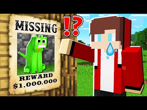 JJ's Quest: Finding Mikey the Missing Cat