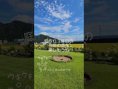 雨にもかかわらず黄色に変わる草