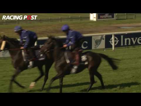 Investec Derby 2016: Godolphin contenders