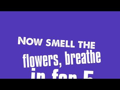 Positivity Flow | Lavender Blues