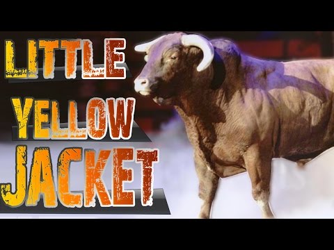 🐂 LITTLE YELLOW JACKET  ⭐ Touros Lendários • 02 •