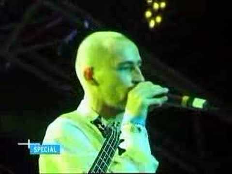 Gentleman and Daddy Rings - Fade away