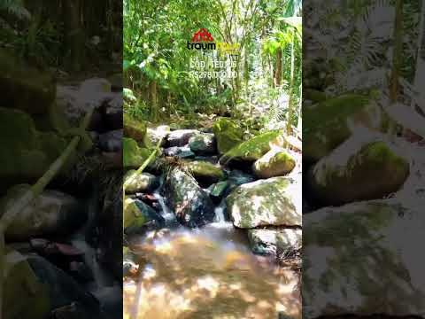 🌿 TERRENO EM GASPAR ALTO – GASPAR/SC