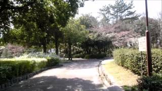 preview picture of video 'Anjo Akiba park stroll　安城市の秋葉公園散策'