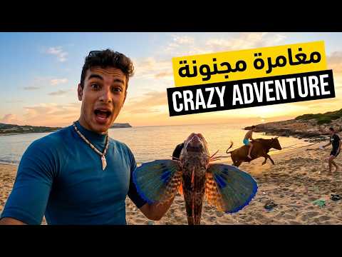 🔥 حوت نادر وبقرة مجنونة في Cap Serrat 🐟🐄