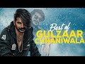 Best Of GULZAAR CHHANIWALA | BEST SONGS | MAFIA SONGS | DJ SONGS PLAYLIST | BEST OF 2024 | JUKEBOX