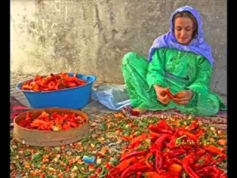 URFA SIRA GECELERİ - Bu Ne Güzel Bir Düğün.wmv