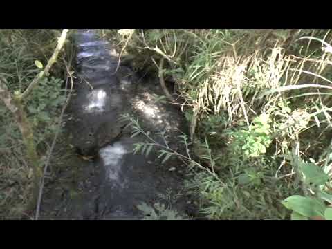 Caminata por la vereda RESGUARDO, SOMONDOCO, BOYACA, COLOMBIA...