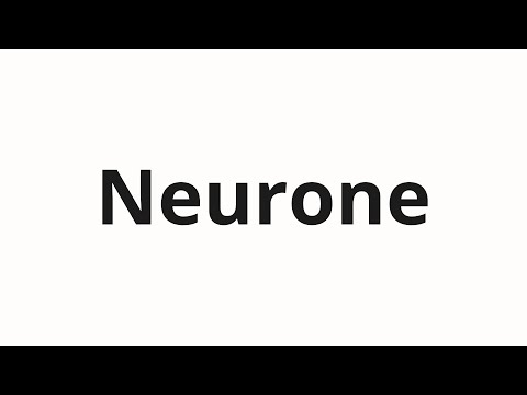 How to pronounce Neurone