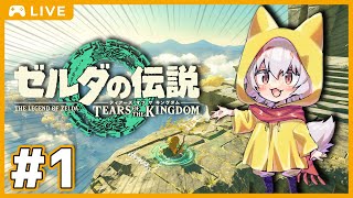 【ゼルダの伝説TotK】世界を救いに行こうぜ！#01【大会主催/かきぷーｋ/狐魂プロジェクト】