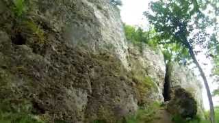 preview picture of video 'Les Faloises de Vertus. Sortie Trail'
